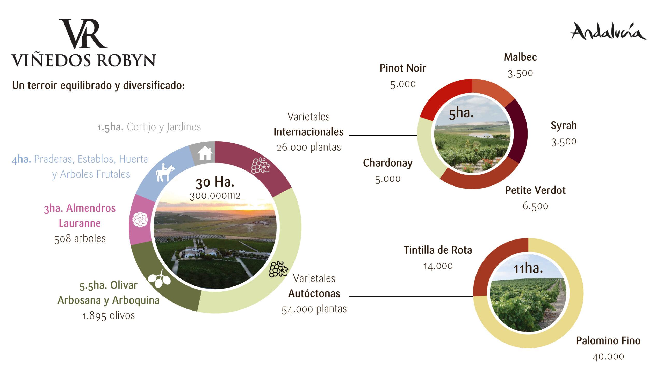 eschema terroir scaled