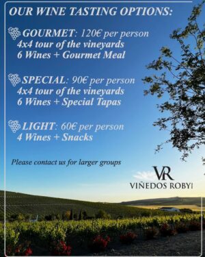 Light Wine Tasting Experience