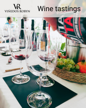 Light Wine Tasting Experience