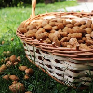almond-5213382_1280